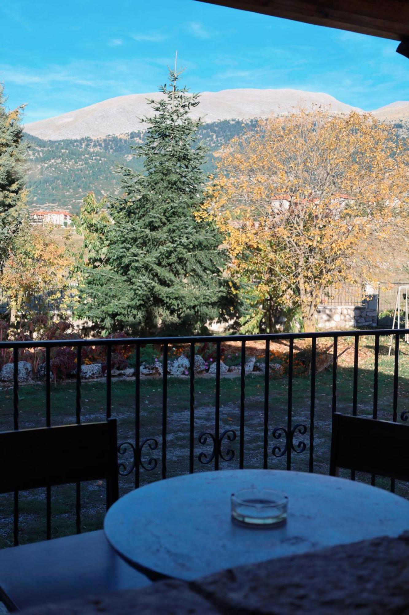 Diminio 4 Whole House Chalet Arachova